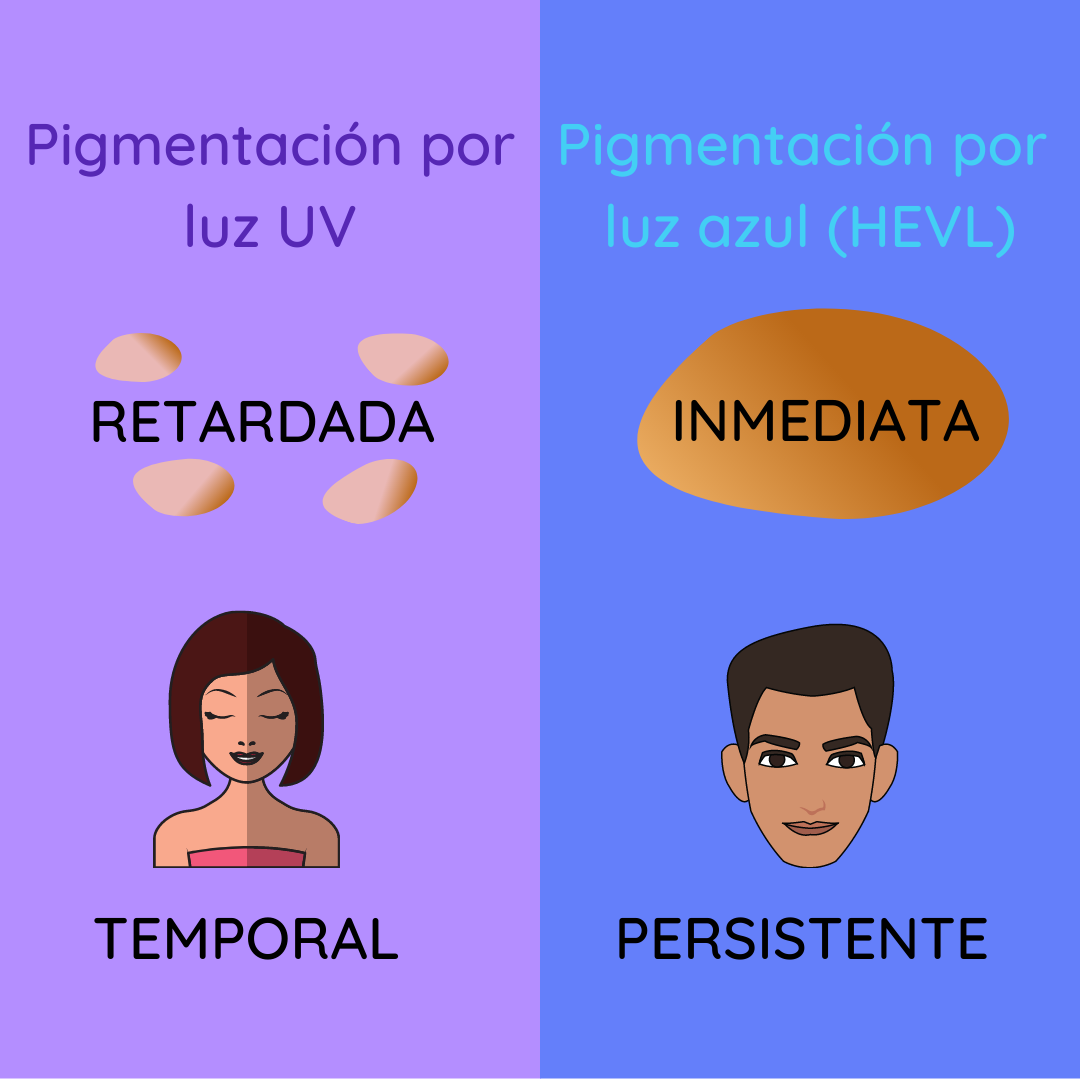 Pigmentación de la piel por luz UV versus luz azul (HEVL): retardada y temporal frente a inmediata y persistente.