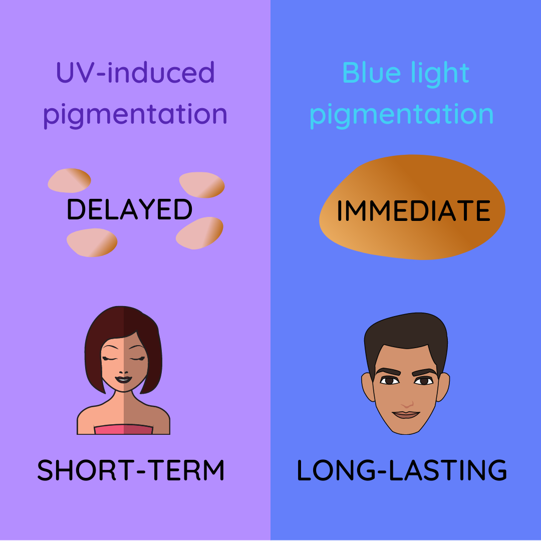 UV light-caused versus blue light-induced skin pigmentation: delayed & short-term versus immediate & long-lasting.