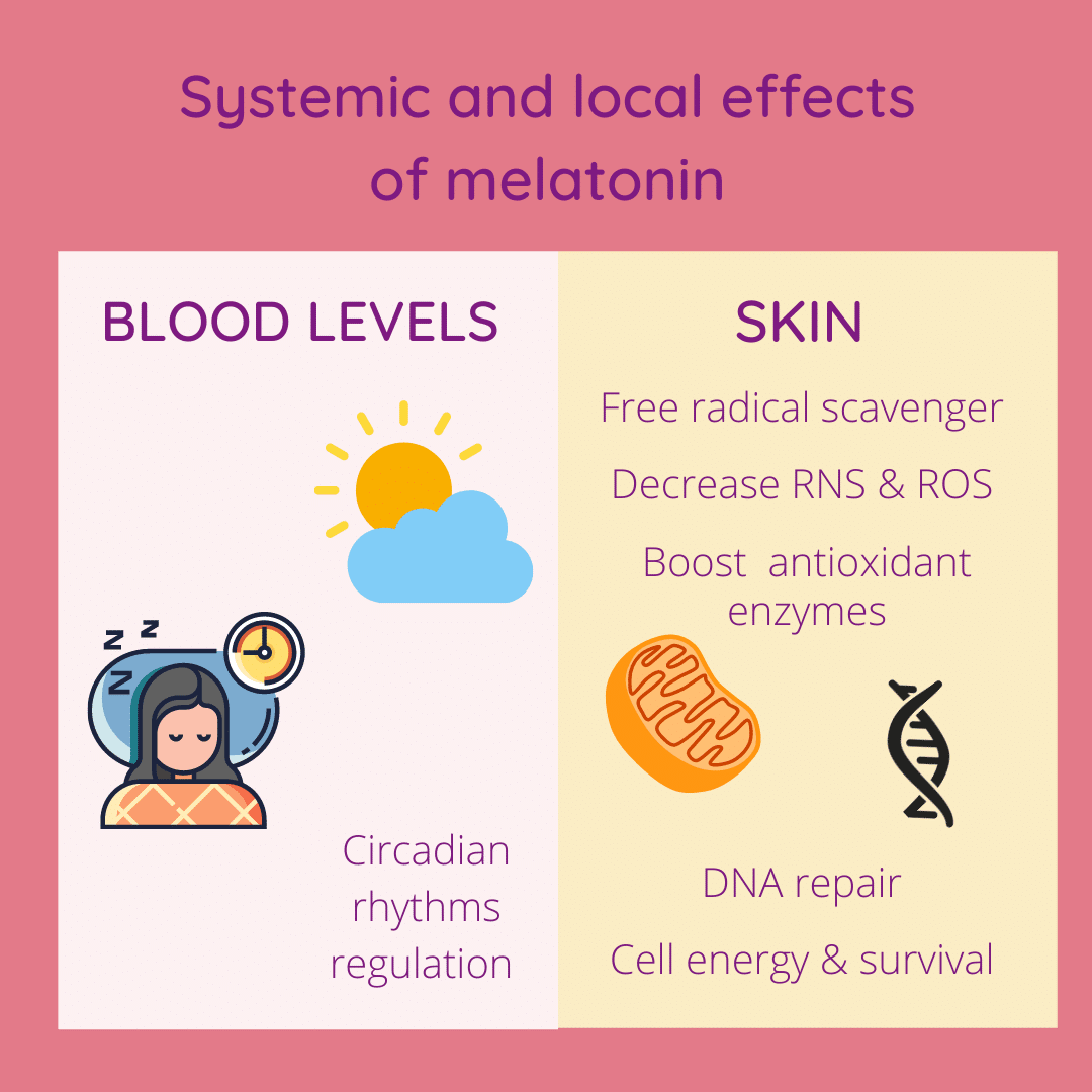Systemic and local effects of melatonin.
