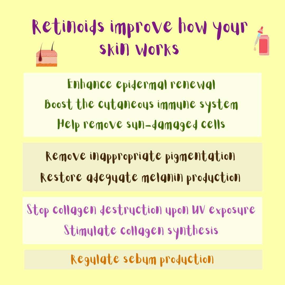 Retinoids improve how our skin works: summary of the actions of retinoids on the skin.