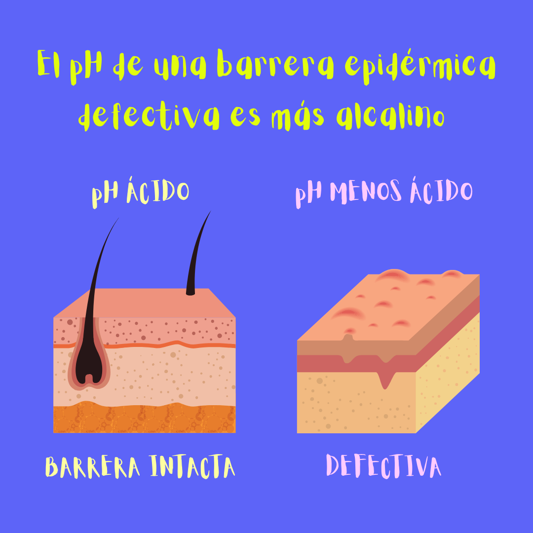 El pH de una barrera epidérmica defectiva es más alcalino (ilustración).