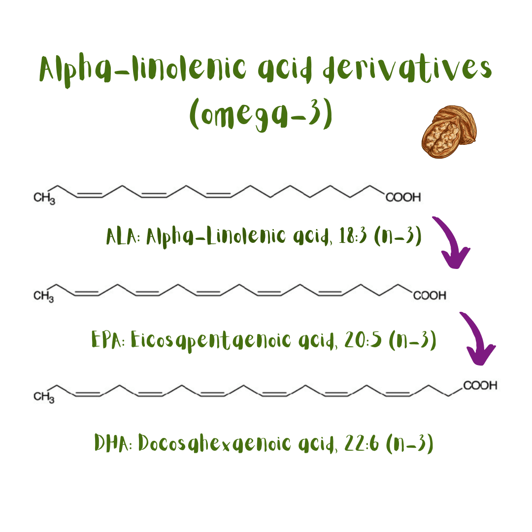 Omega-3 essential fatty acid (alpha-linoleic acid, ALA) and its derivatives, EPA and DHA.