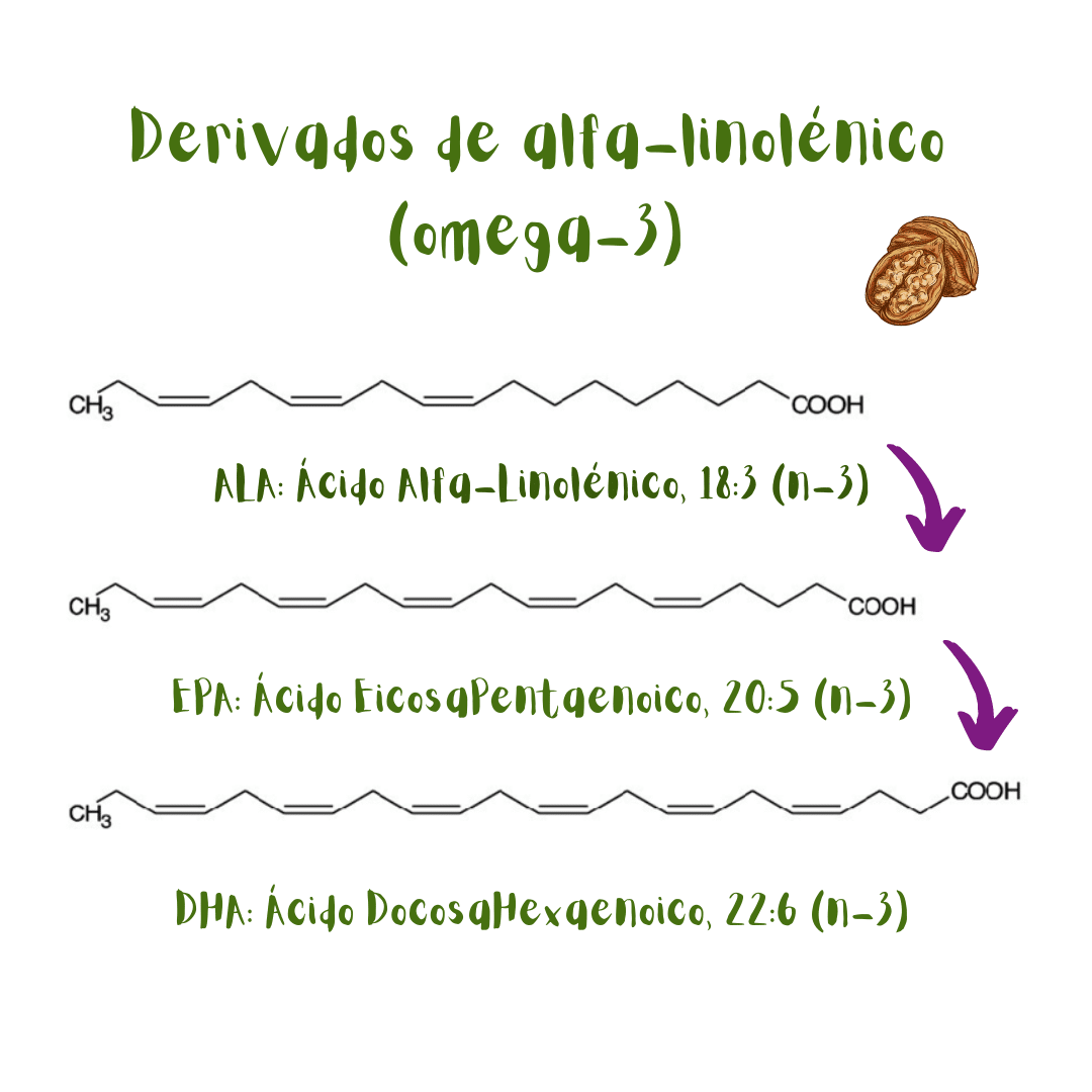 Ácido esencial omega-3 (ácido alfa-linolénico) y sus derivados, EPA y DHA.