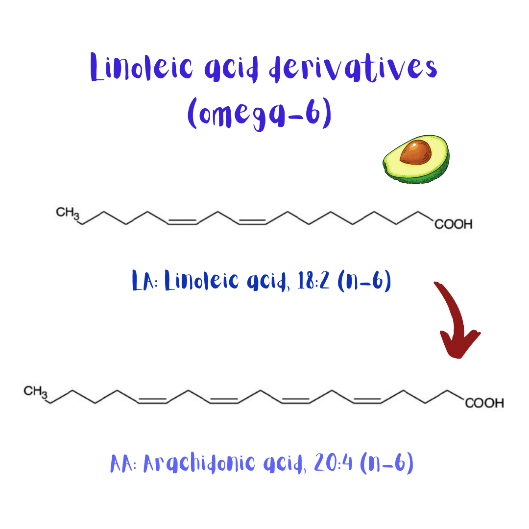 Omega-6 essential fatty acid (linoleic acid) and its derivatives, gamma-linoleic acid (GLA), and arachidonic acid (AA).