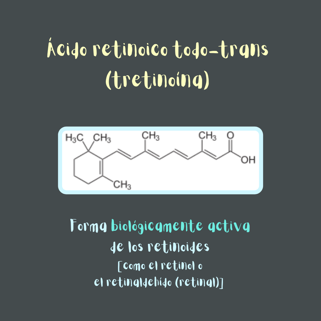 Ilustración: estructura química del ácido retinoico todo-trans (tretinoína), forma biológicamente activa de los retinoides [como el retinol o el retinaldehído (retinal)].
