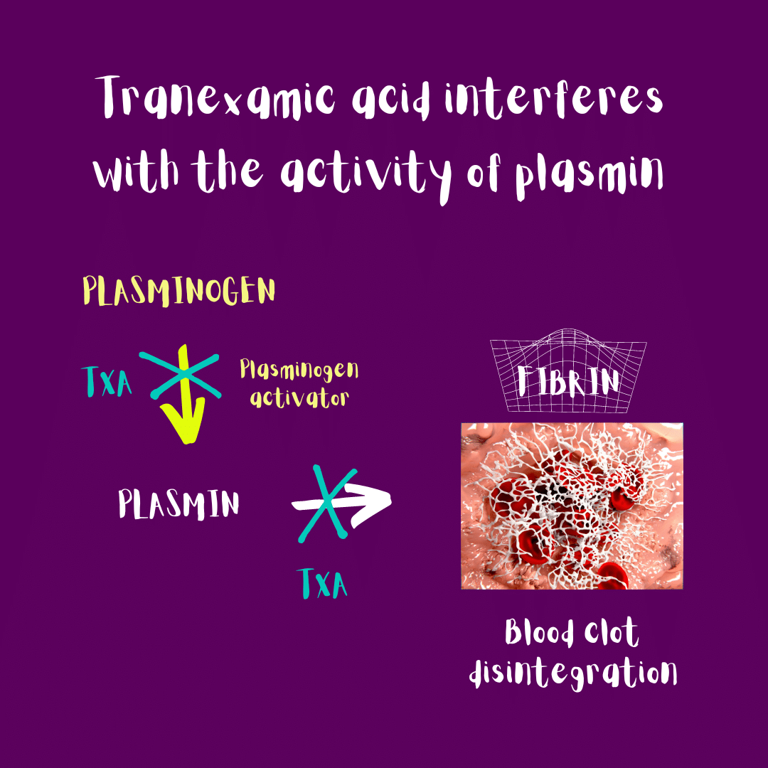 Illustration: tranexamic acid hinders the activity of plasmin and the breakdown of fibrin and blood clots.