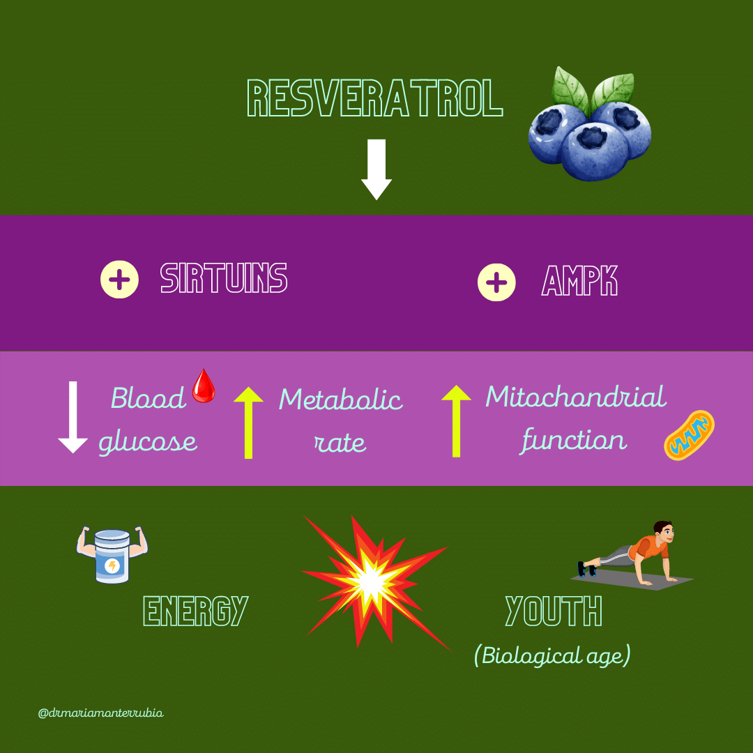 Resveratrol as a metabolism and energy booster (illustration).