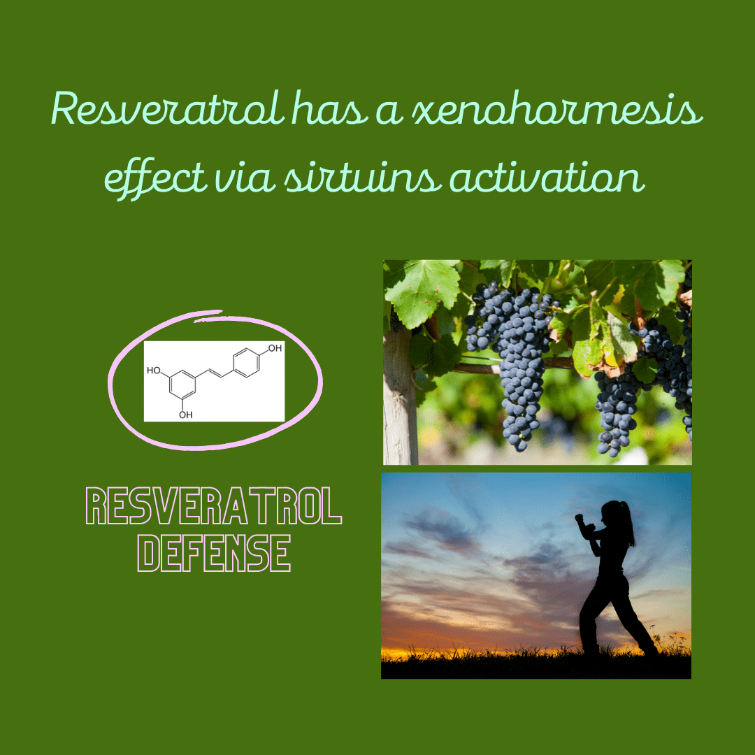 Resveratrol has a xenohormesis effect on us via sirtuins activation.