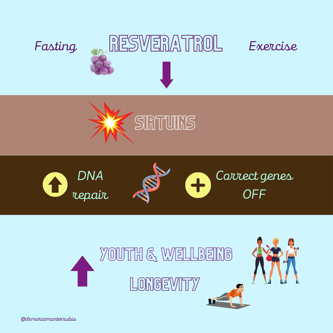 Resveratrol as a youth, wellbeing, and longevity booster (illustration).