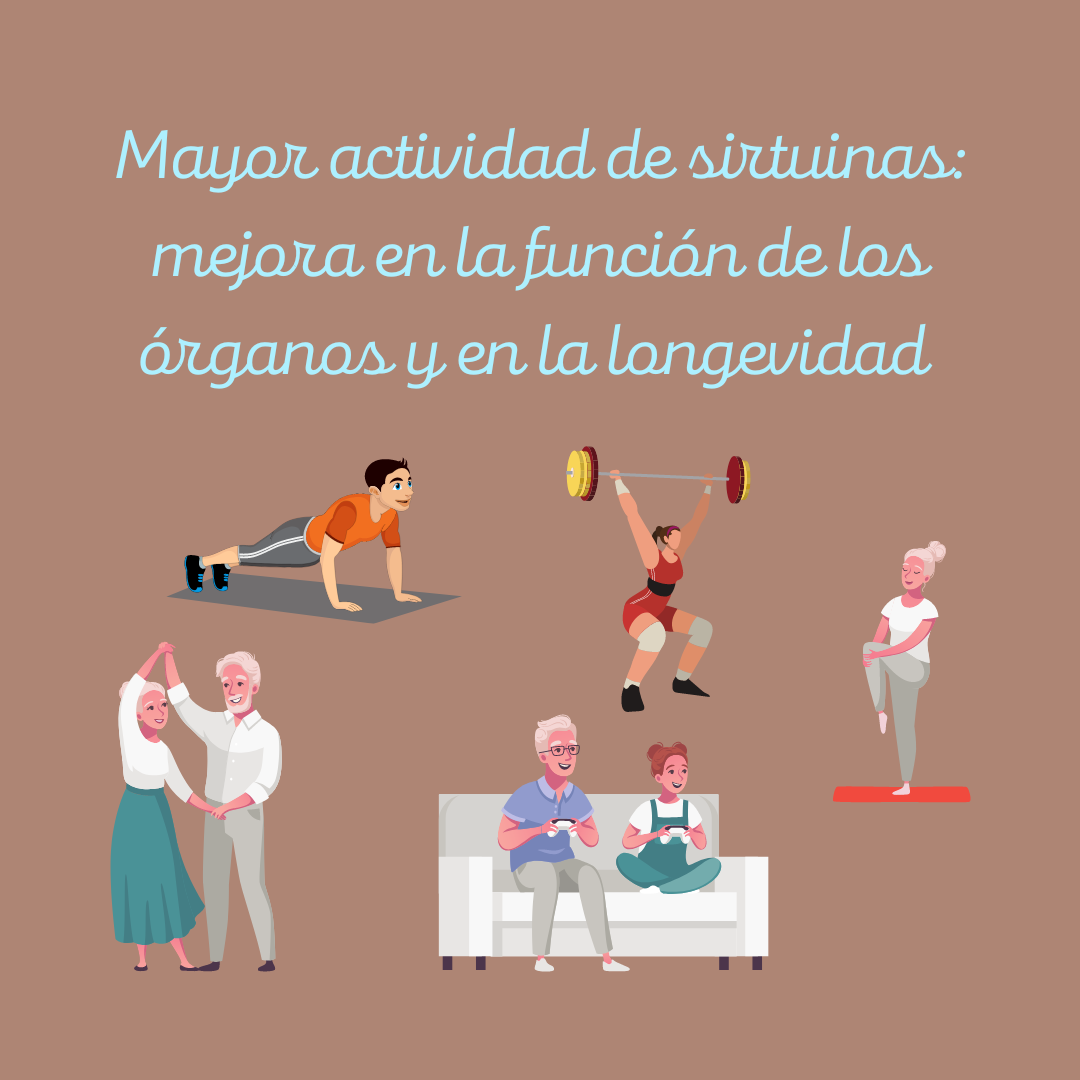 Ilustración: una mayor actividad de las sirtuinas mejora la función de los órganos y nuestra longevidad.