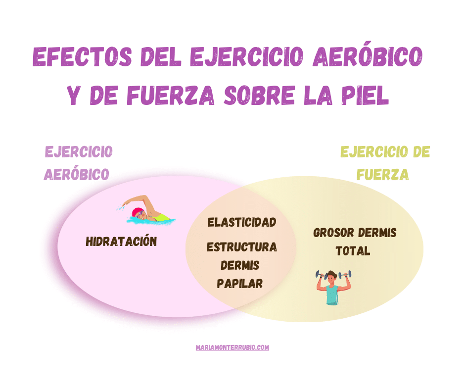 Ilustración. Efectos del ejercicio aeróbico y el ejercicio de fuerza sobre la piel.