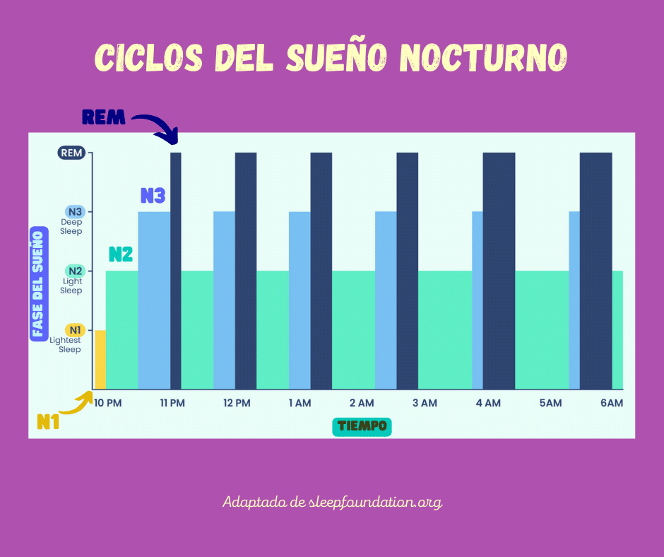 Diagrama de los ciclos (NREM, REM) y fases (N1, N2, N3) del sueño nocturno.