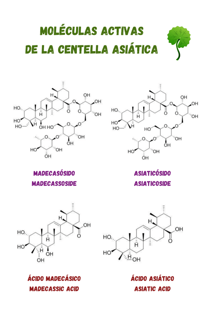 crema centella asiatica para que sirve
