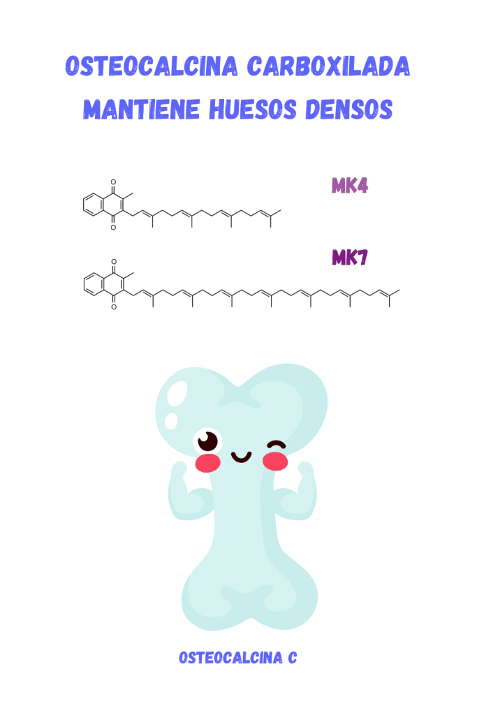 vitamina k2 d3