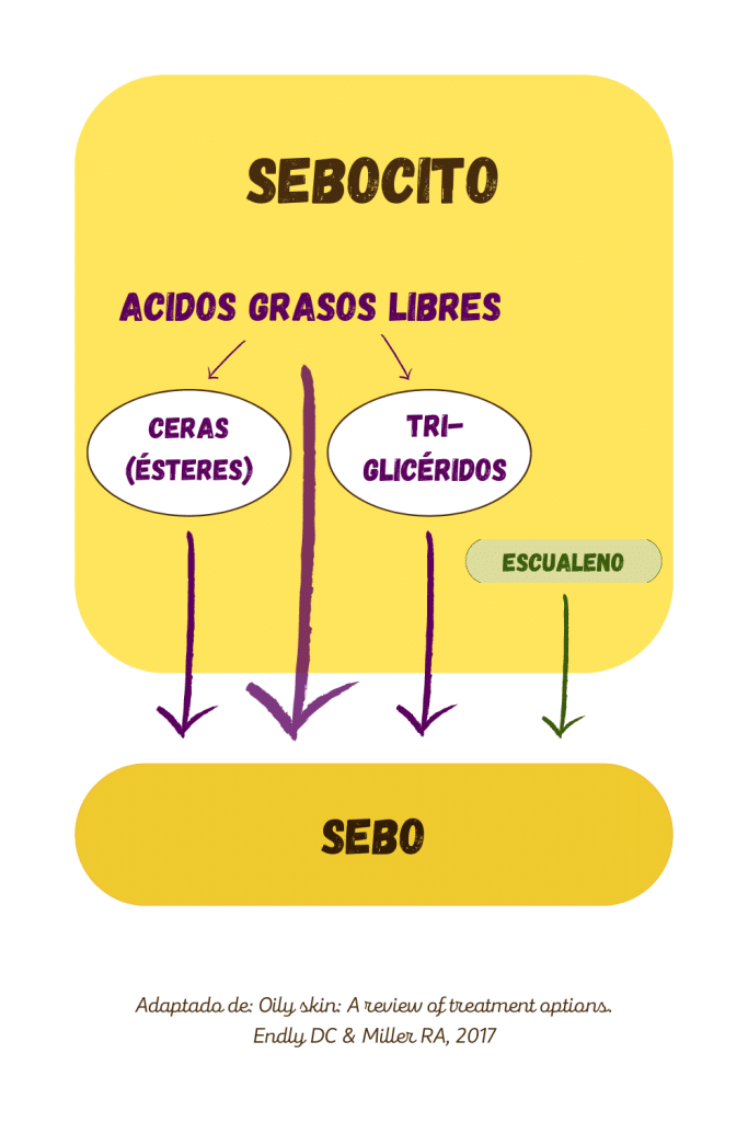 productos piel grasa