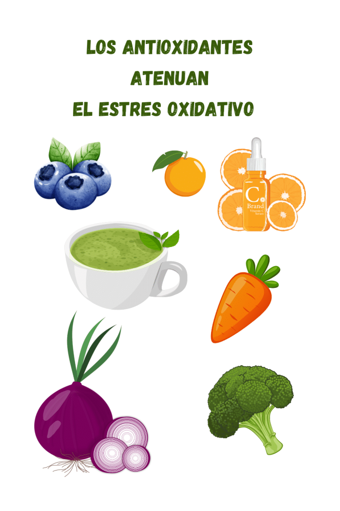 protector solar ingredientes naturales