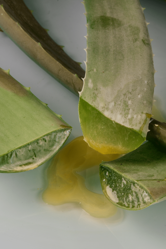aloe vera puro gel