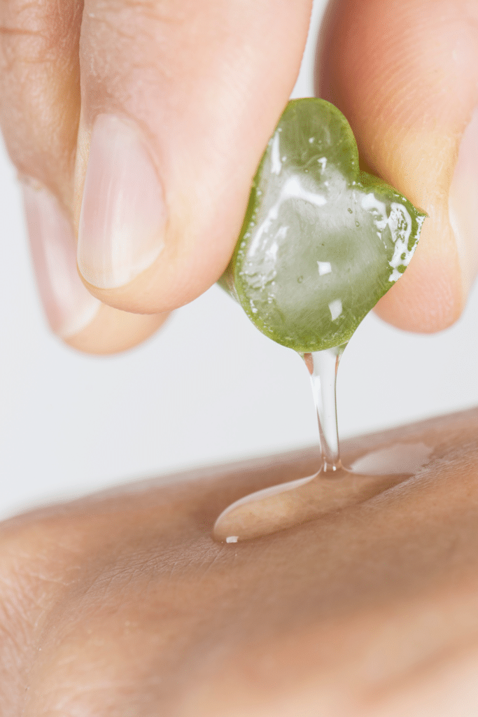 gel de aloe vera casero