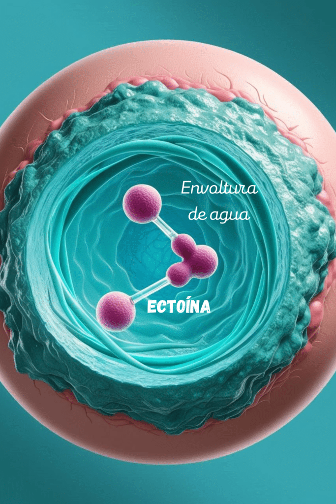 ectoin