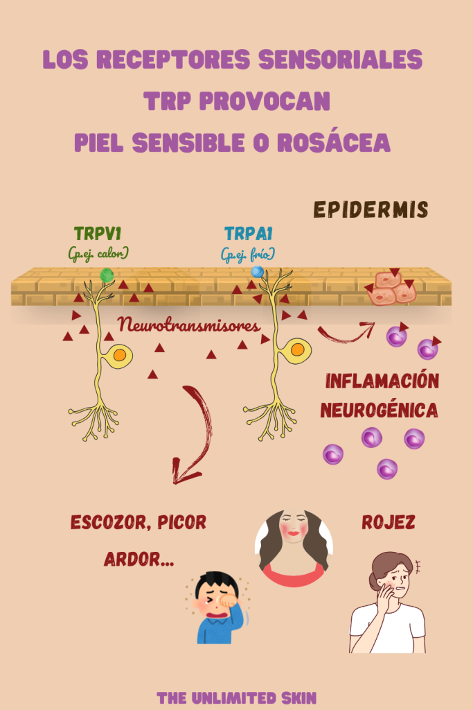 rosacea piel sensible