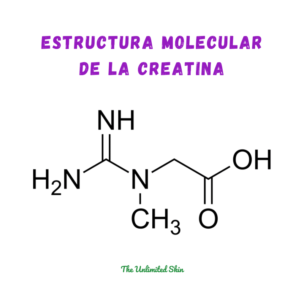 creatina que es