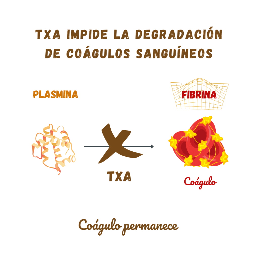 acido tranexamico mecanismo de accion