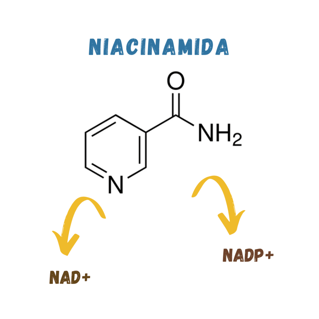 niacinamida que es