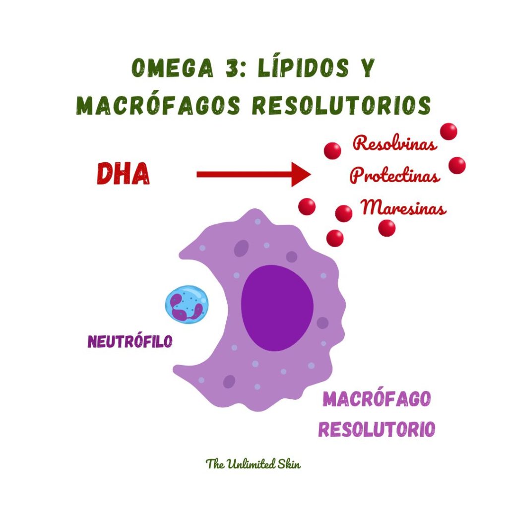 omega 3 beneficios para mujeres
