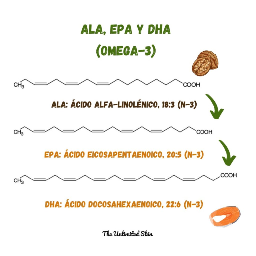 que omega 3 tomar