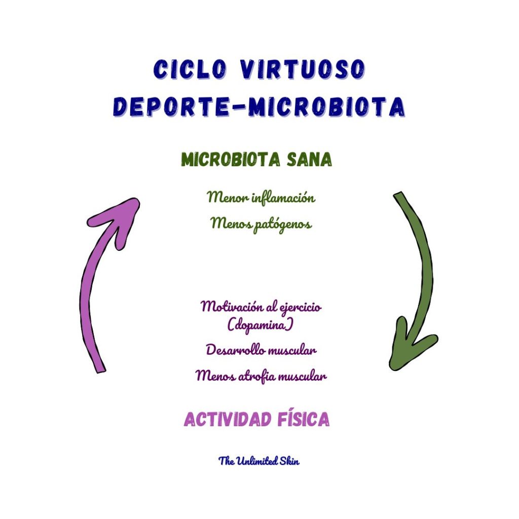 microbiota intestinal como mejorarla