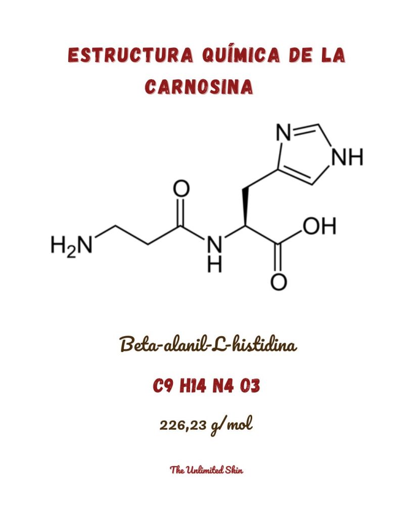 carnosina