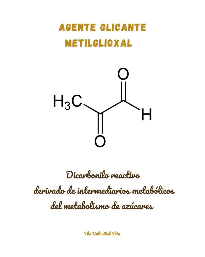 carnosina propiedades