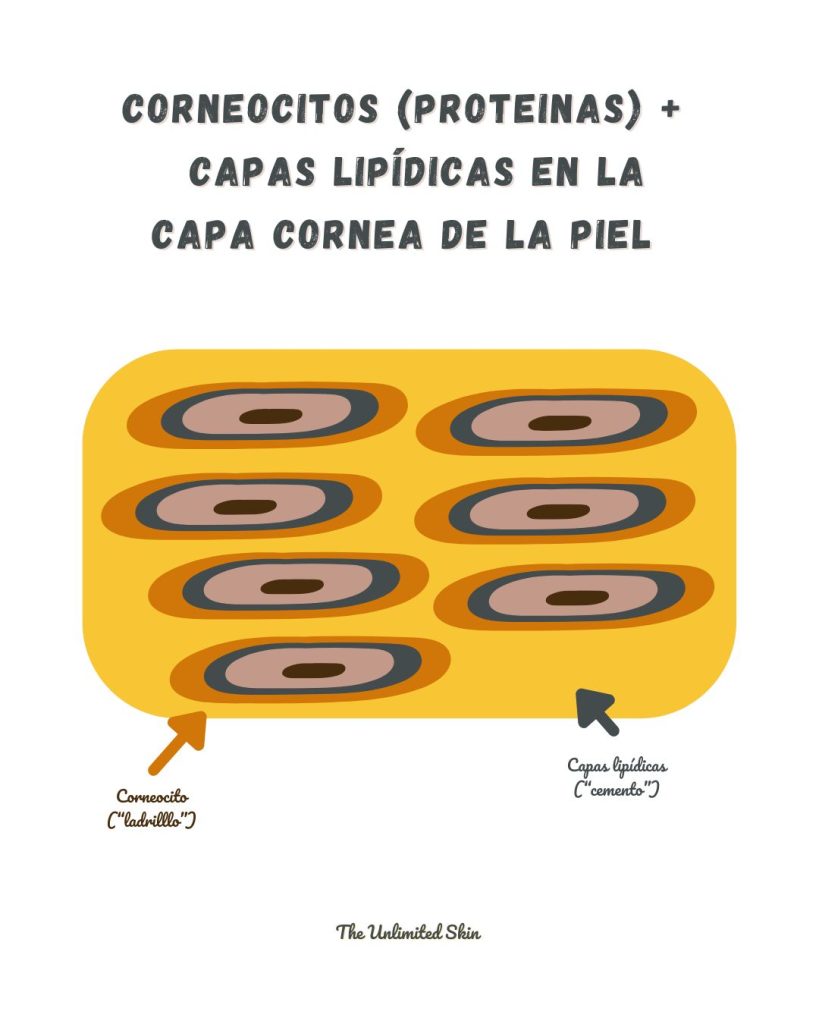 cuando hacer doble limpieza facial