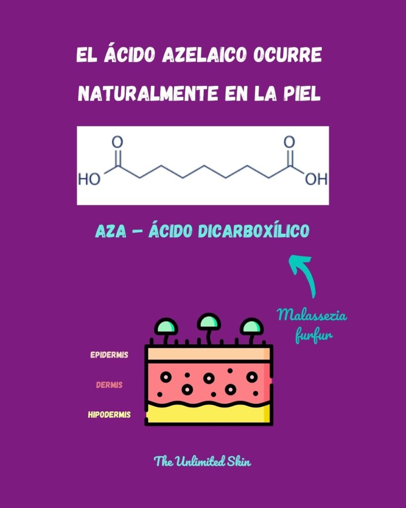 acido azelaico rosacea