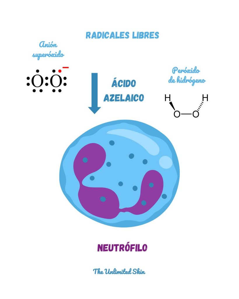 para que sirve el acido azelaico