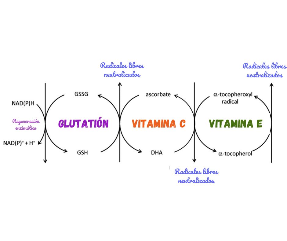 pildora y vitaminas