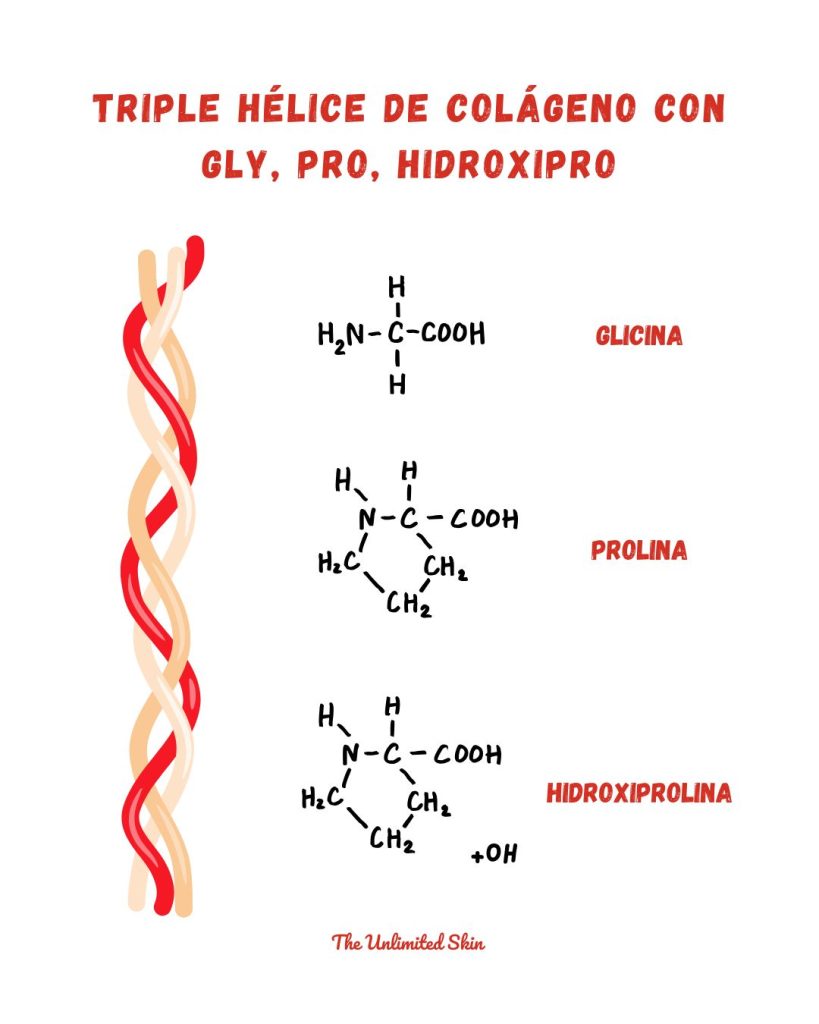verisol estudios