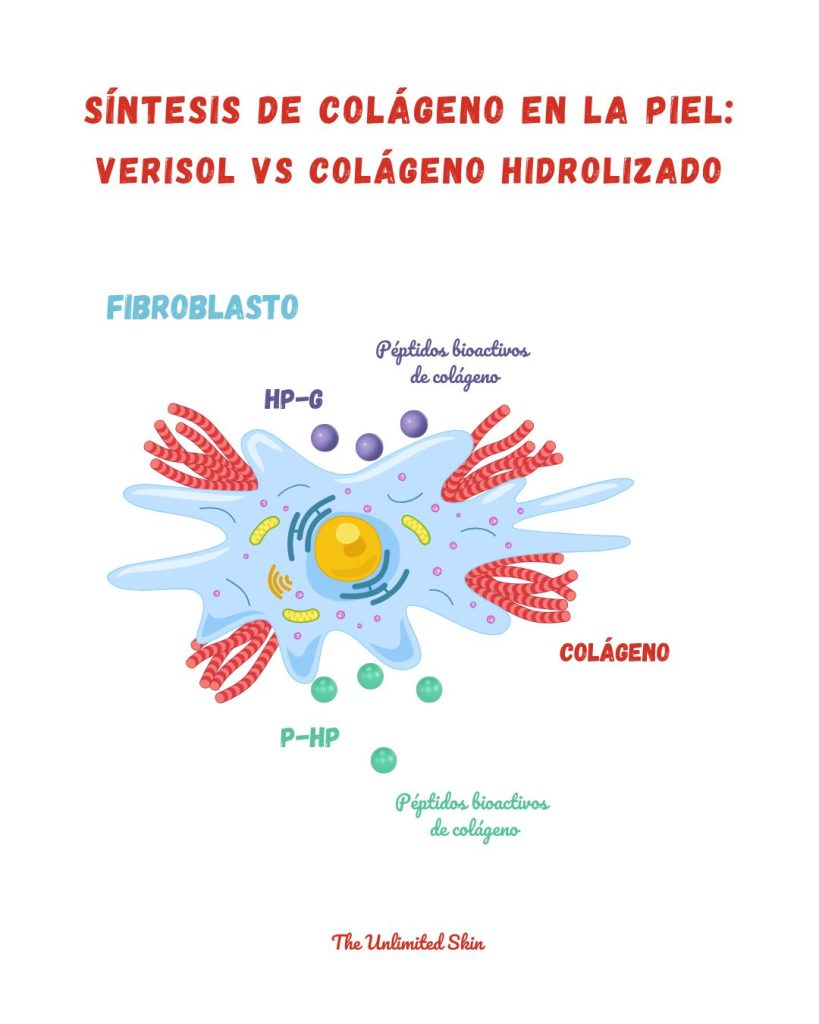 verisol vs colágeno hidrolizado